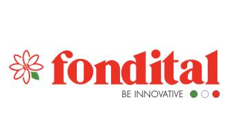 logo fondital